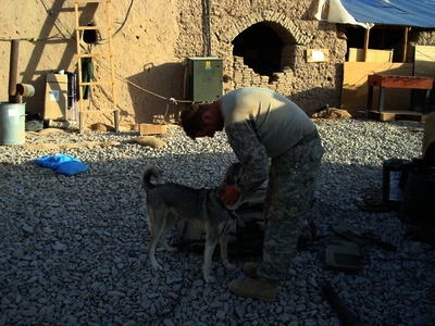 517e86a946efb7.32308207