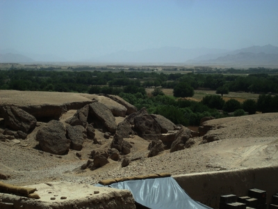 517e86c1876500.47603985