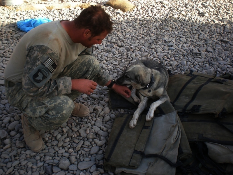 517e86cca779d7.51476550