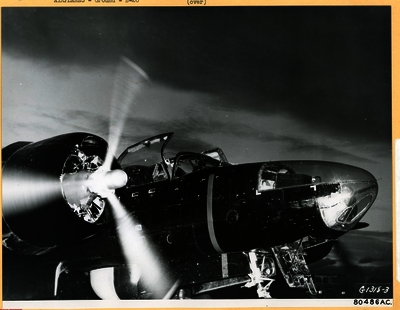 517e86ee828df4.72757781