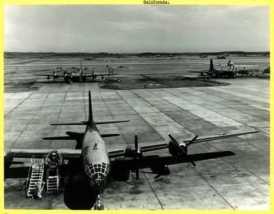 517e86f04ef5b4.89893447