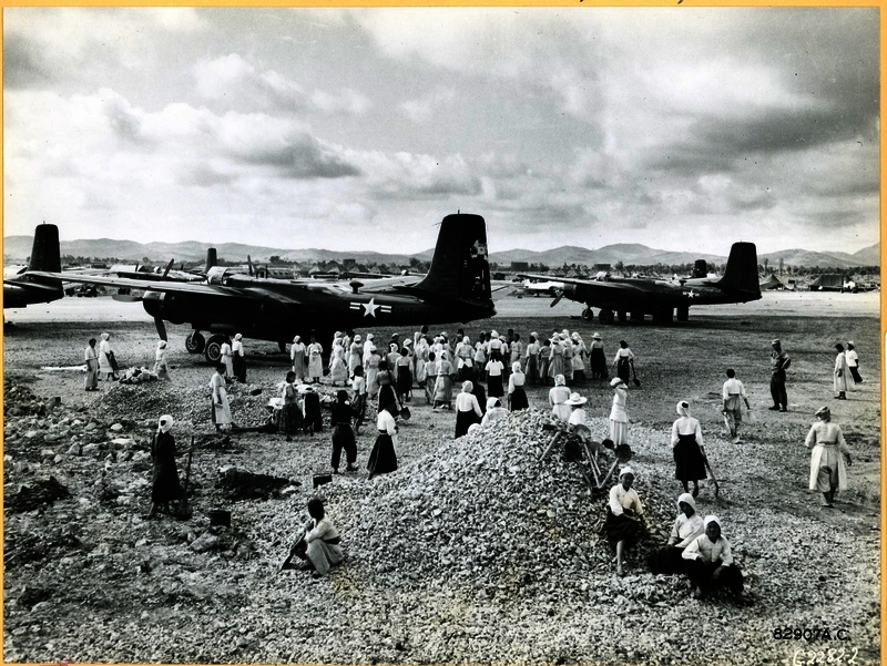 517e86fee3a058.84419406