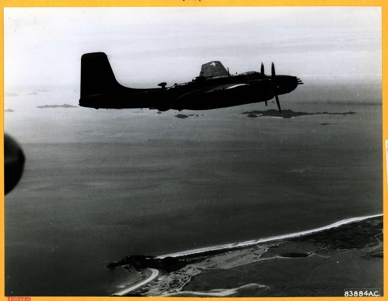 517e87d681adc5.79936047