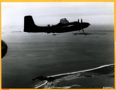 517e87d681adc5.79936047