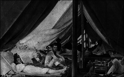 517e8d33e10ef3.93391408