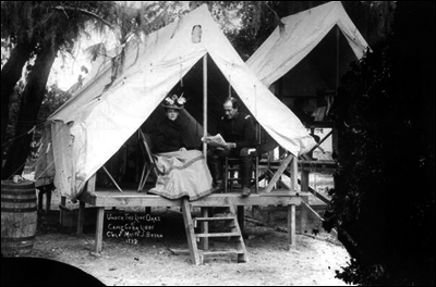 517e8d3e16ef30.06176334