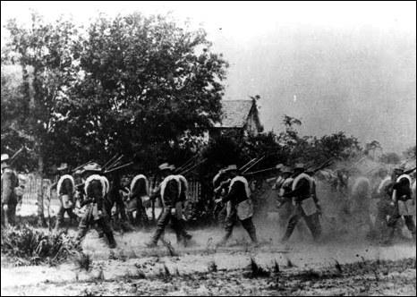 517e8d47b677e8.67495817