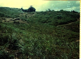 517e8d5a605ae5.50468060