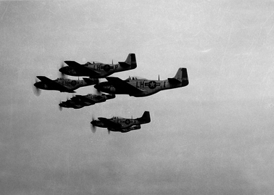 517e9ee6837483.77318793