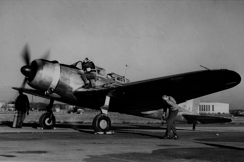 517eb257c3f7d3.27299358