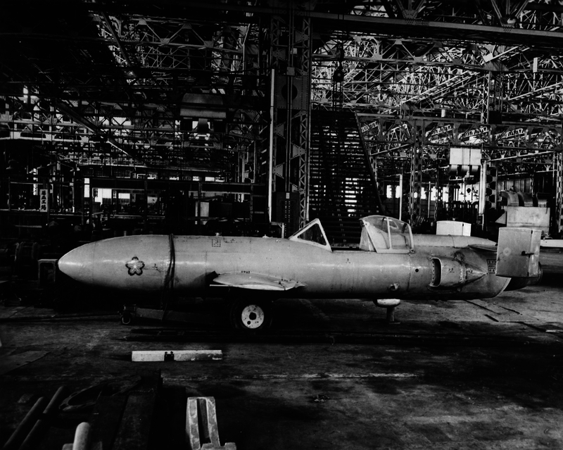 517eb291dc4762.76470923