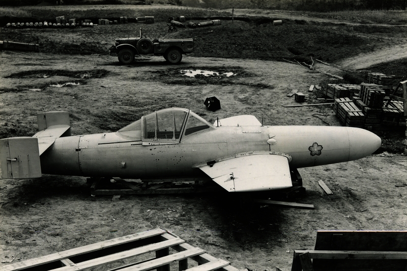 517eb2cdcf43d1.20191198