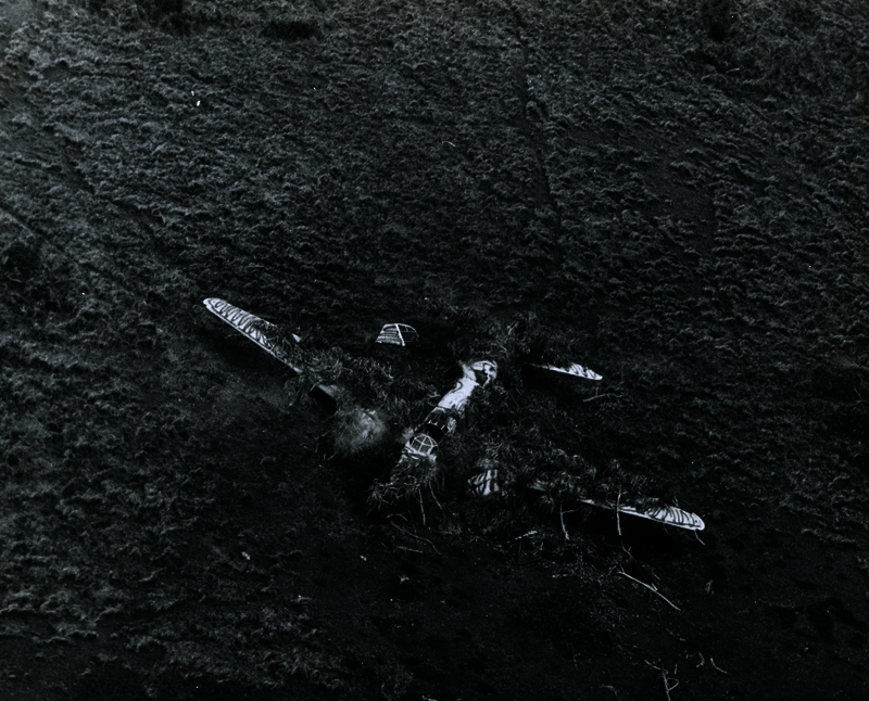 517eb45396b8e5.07082509