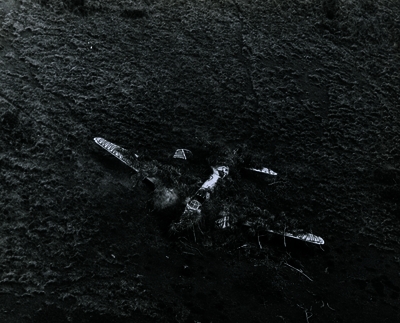 517eb45396b8e5.07082509