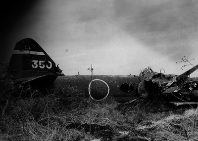 517eb485b08737.88644753