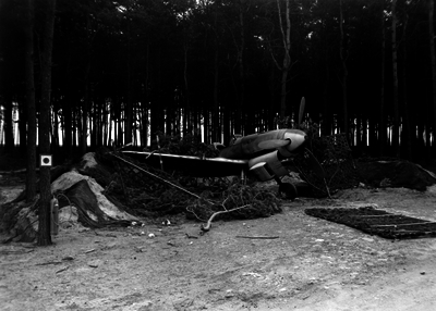 517eb4b0e47230.36982463