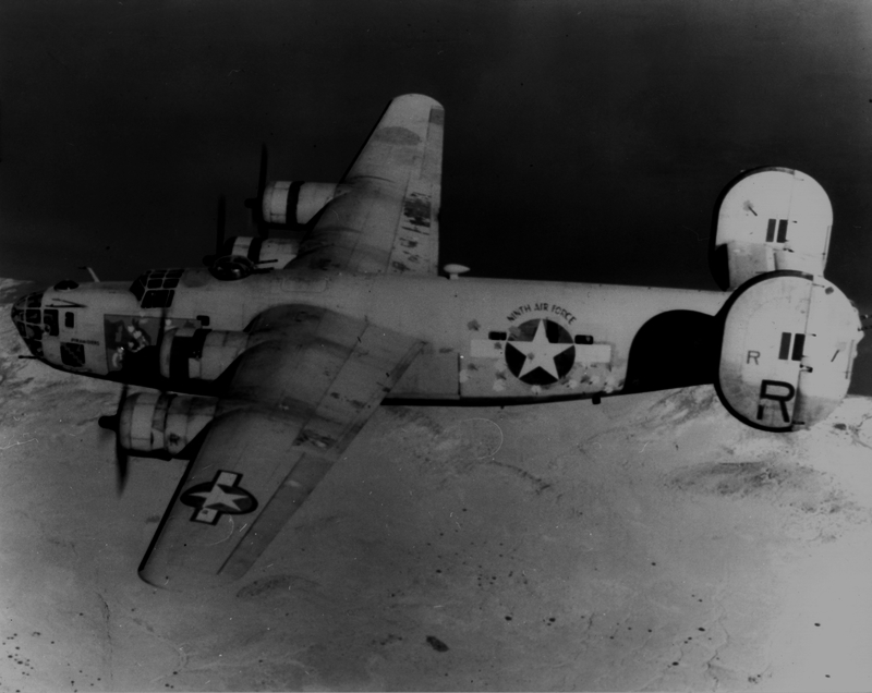 517eb4fe22e3c5.05649134