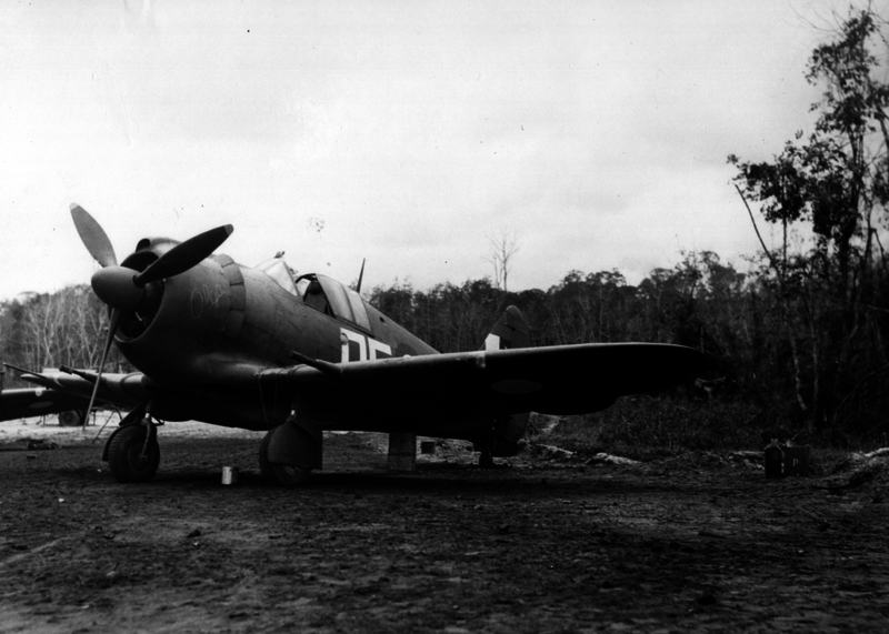 517eb52d4c72d6.55811677