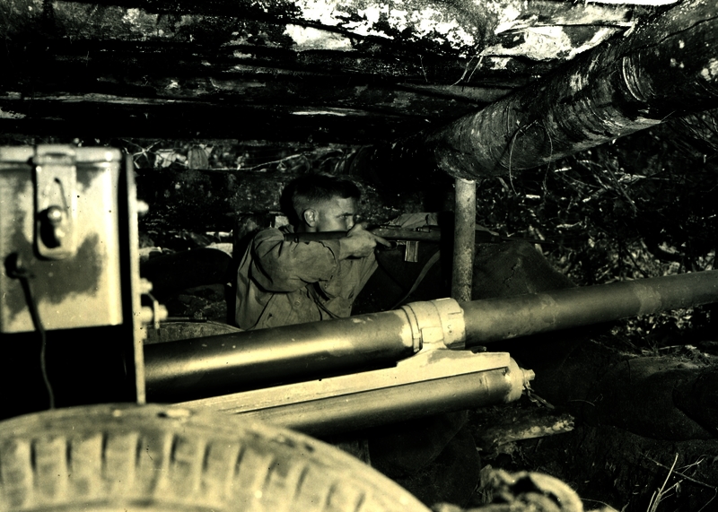 517eb533bd6f72.25043489