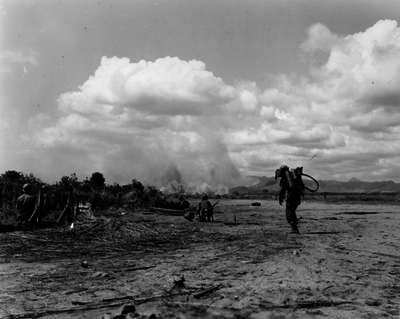 517eb6b84da8a4.26891495