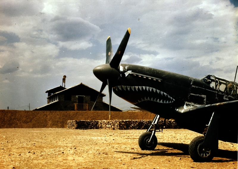 517eb6f76a6ca0.71740700