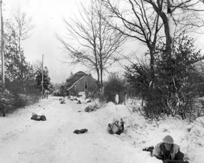 517eb73a113199.29976606