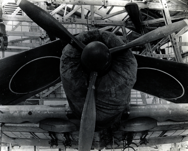 517eb744b1d608.62653649