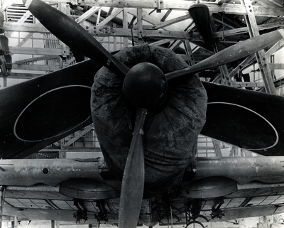 517eb744b1d608.62653649