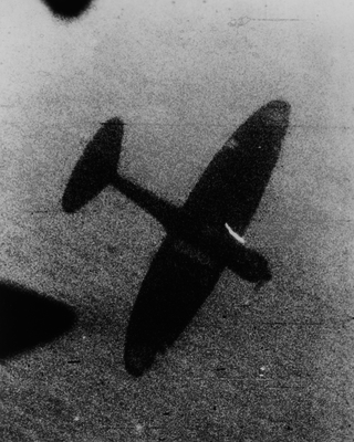 517eb792502a94.31581045