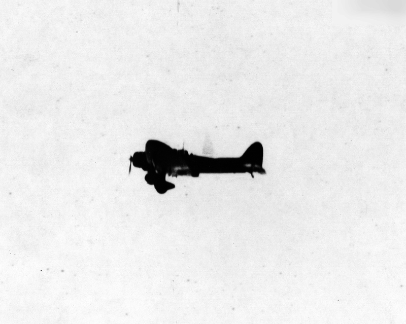 517eb79e896c19.66479201