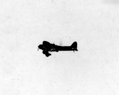 517eb79e896c19.66479201