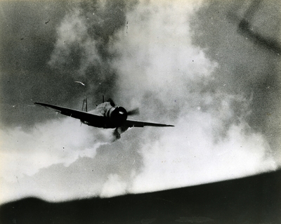 517eb7b01d9c01.92398841