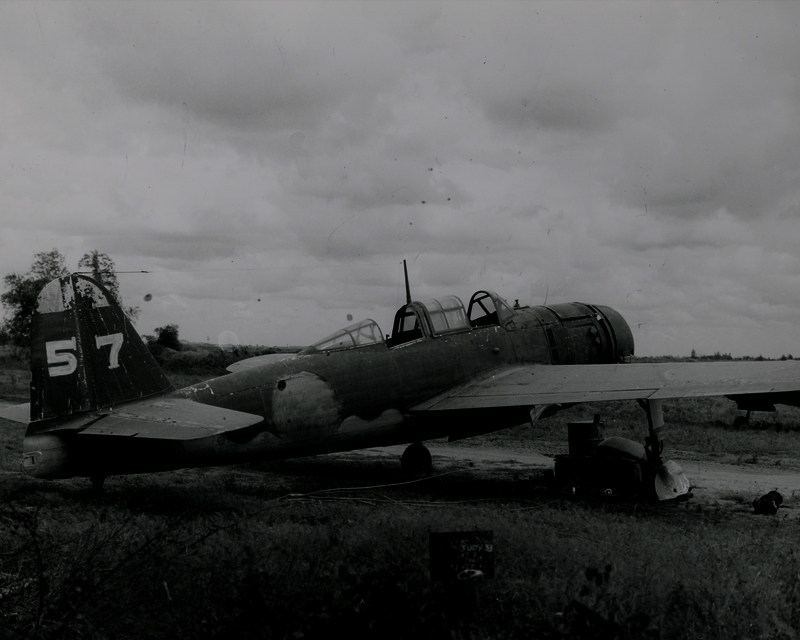 517eb7bbe4c6a7.82878156