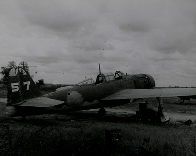 517eb7bbe4c6a7.82878156