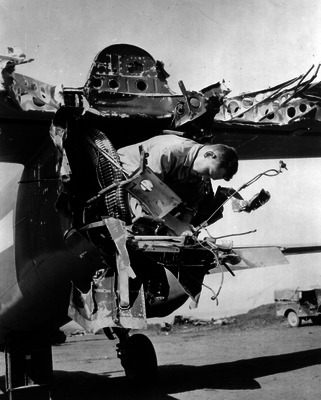 517eb7dd412b46.82250513