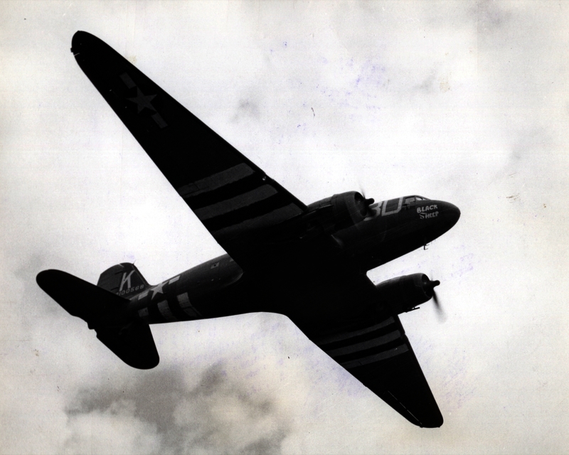 517eb7f9341a99.79178811