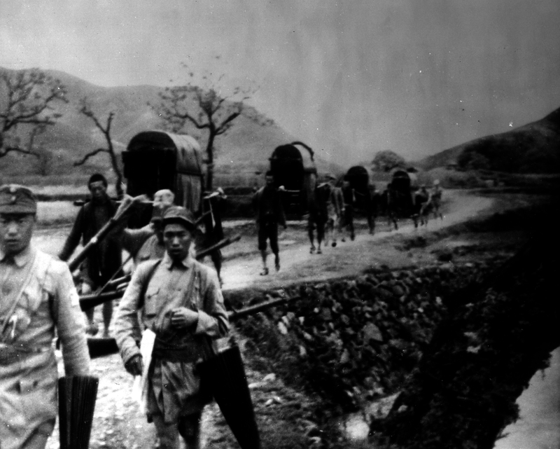 517eb8ac482040.21365486