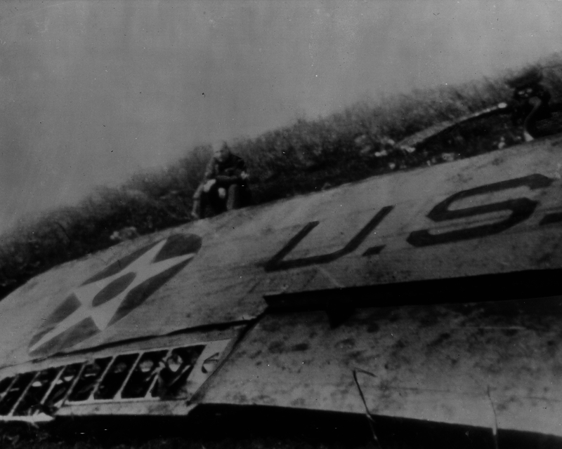 517eb8c9b55290.83908963