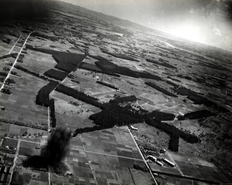 517eb8f38a3405.20021709