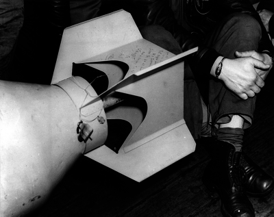 517ebae4e76937.67097908