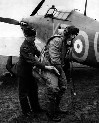 517ebbe86984a0.89913211