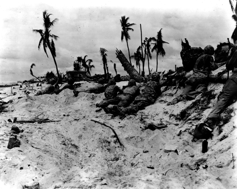 517ebd29894703.69562936