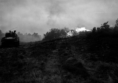 517ebd954eb0d0.71332204