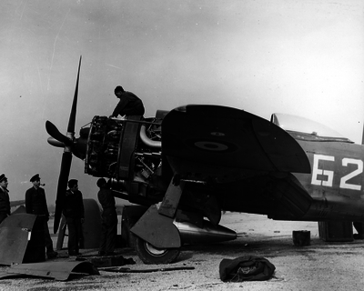 517ebe59103fa4.87880467