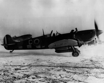 517ebeadee8dd4.03584775