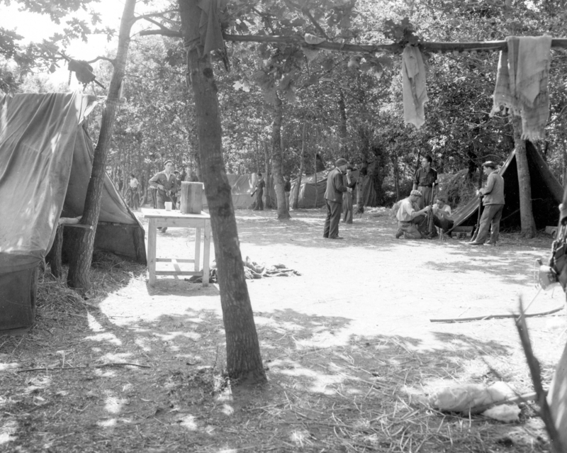 517ebecac2c0b2.96347012