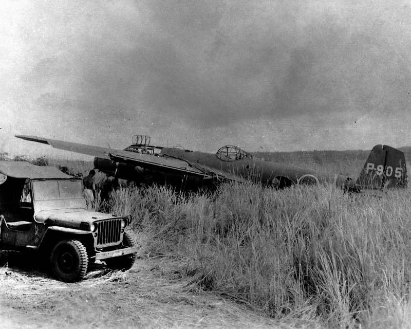 517ebee924a8f9.66014269