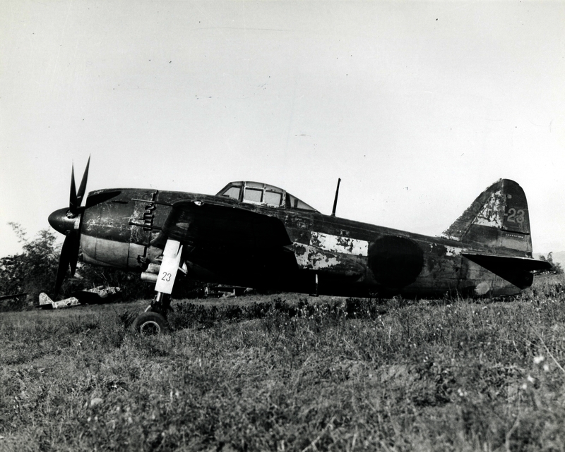 517ec0093d1aa1.89677872