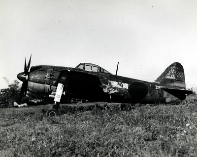 517ec0093d1aa1.89677872