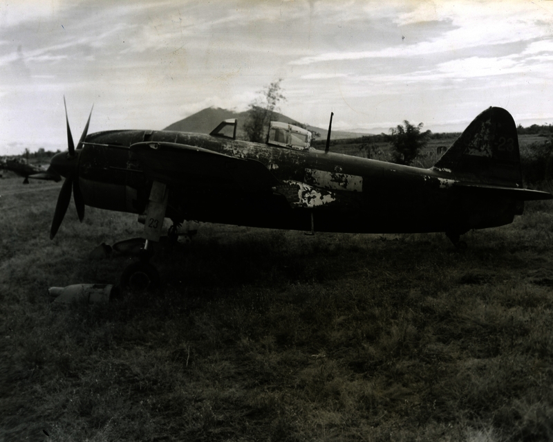 517ec012d014b7.73536403